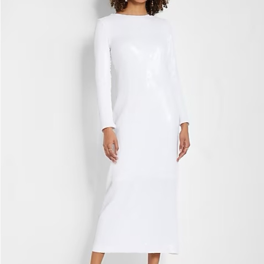 Rachel Zoe (Express) Sequin Long Sleeve Maxi Dress
